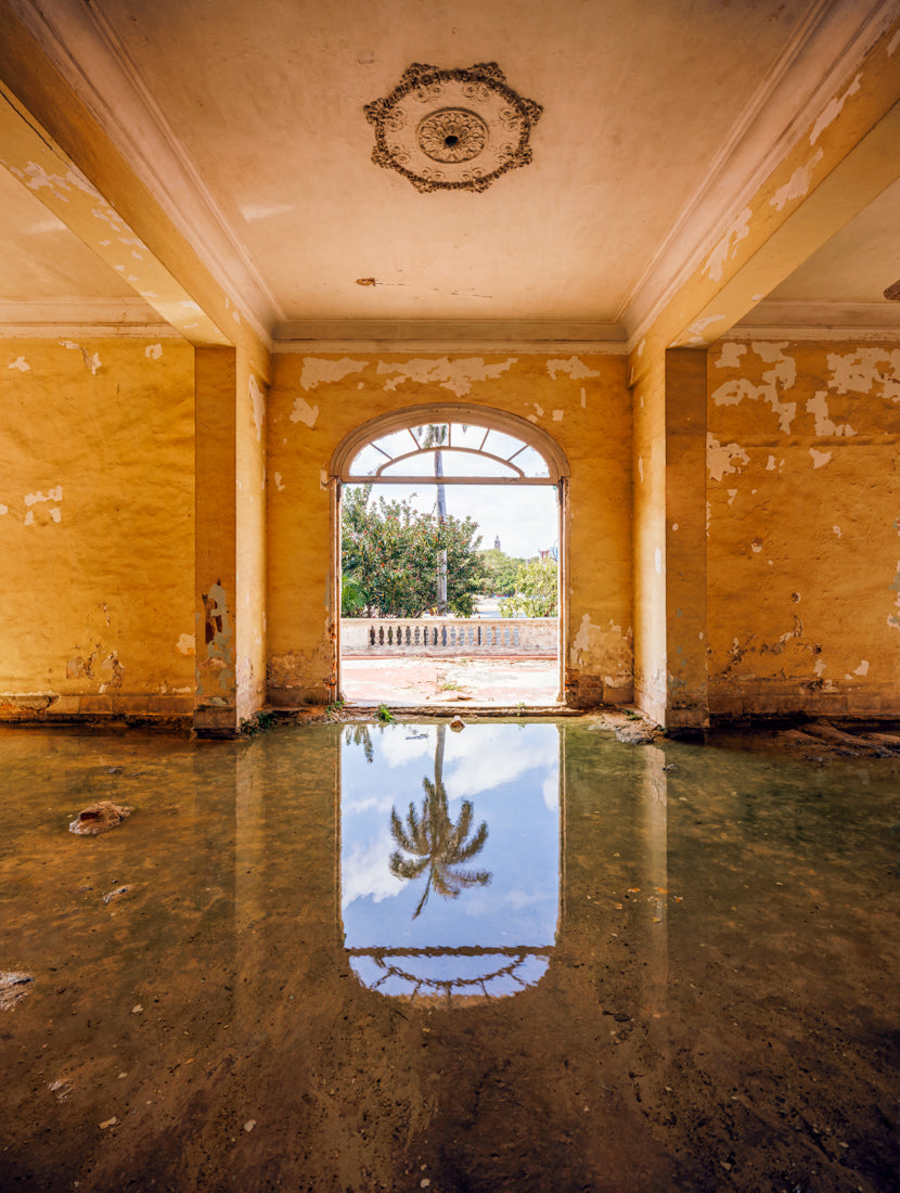 Reflect Back