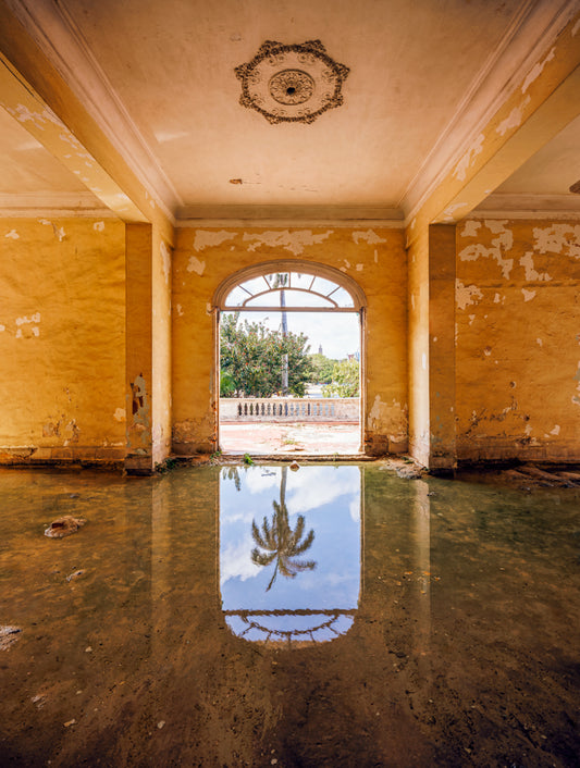 Reflect Back