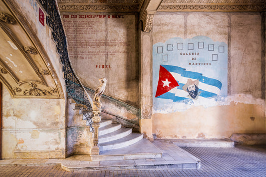 Fidel